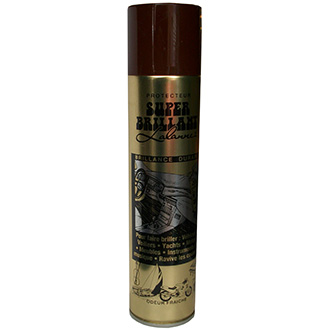 Super brillant Lalanne aérosol 400 ml